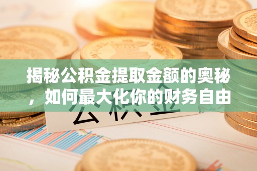 南化揭秘公积金提取金额的奥秘，如何最大化你的财务自由