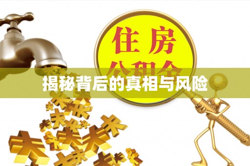 南化揭秘背后的真相与风险