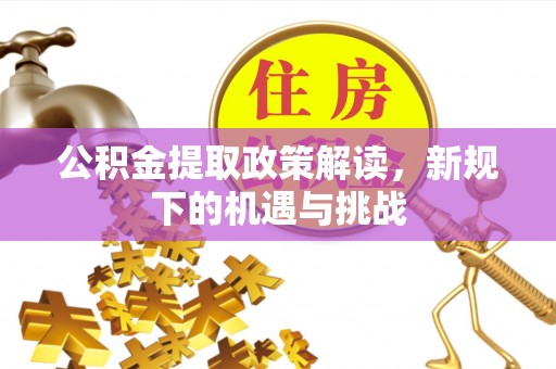 南化公积金提取政策解读，新规下的机遇与挑战