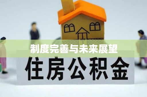 南化制度完善与未来展望