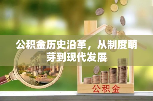 南化公积金历史沿革，从制度萌芽到现代发展