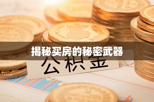 南化揭秘买房的秘密武器