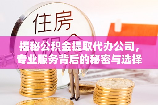 南化揭秘公积金提取代办公司，专业服务背后的秘密与选择指南