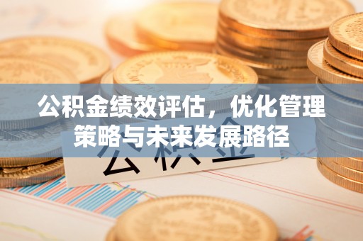 南化公积金绩效评估，优化管理策略与未来发展路径