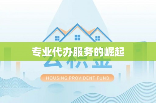 南化专业代办服务的崛起