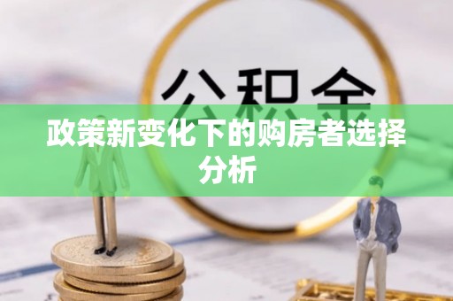 南化政策新变化下的购房者选择分析