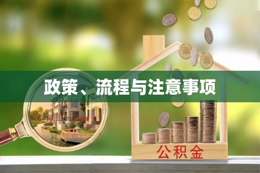 南化政策、流程与注意事项