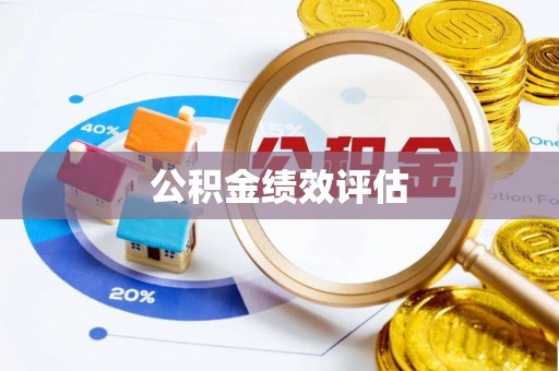 南化公积金绩效评估