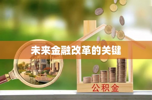 南化未来金融改革的关键