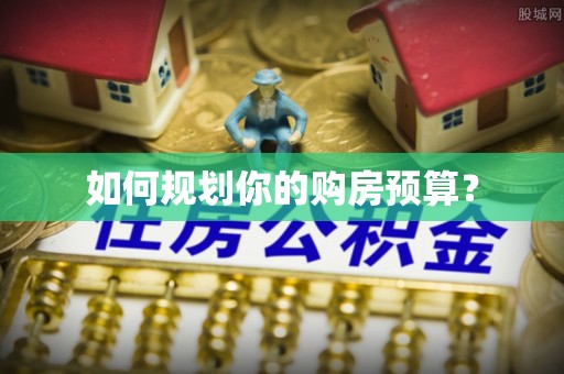 南化如何规划你的购房预算？