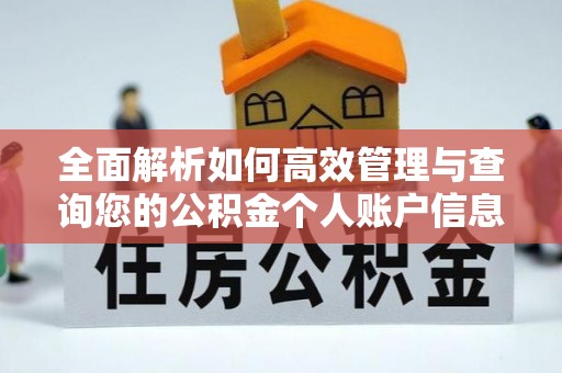 南化全面解析如何高效管理与查询您的公积金个人账户信息
