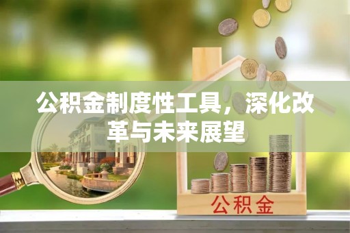 南化公积金制度性工具，深化改革与未来展望