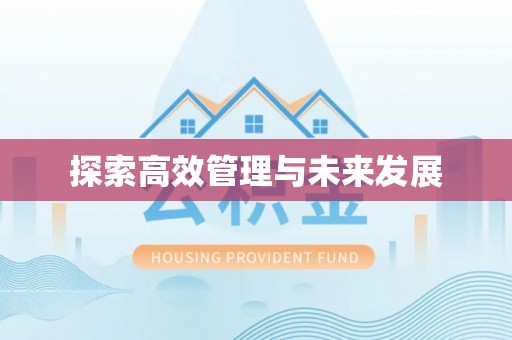南化探索高效管理与未来发展