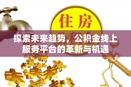 南化探索未来趋势，公积金线上服务平台的革新与机遇
