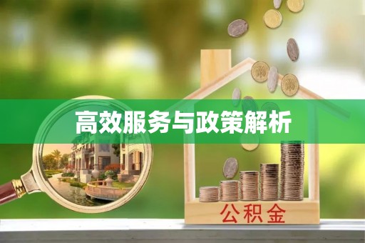 南化高效服务与政策解析