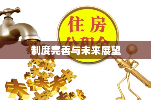 南化制度完善与未来展望