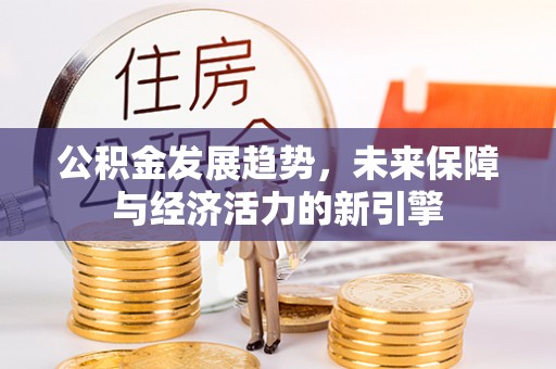 南化公积金发展趋势，未来保障与经济活力的新引擎