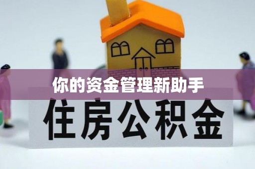 南化你的资金管理新助手