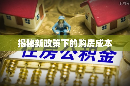 南化揭秘新政策下的购房成本