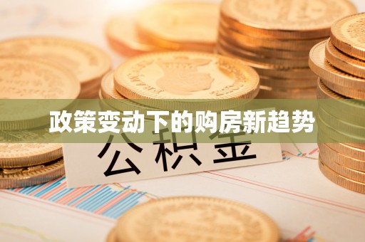 南化政策变动下的购房新趋势