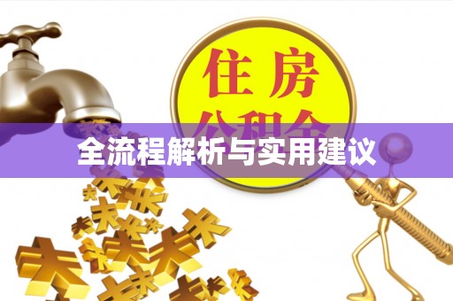 南化全流程解析与实用建议