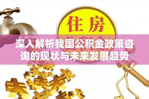 南化深入解析我国公积金政策咨询的现状与未来发展趋势