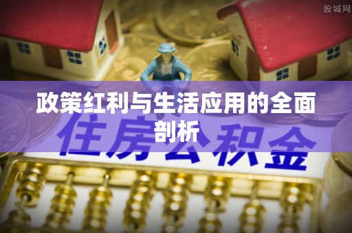 南化政策红利与生活应用的全面剖析