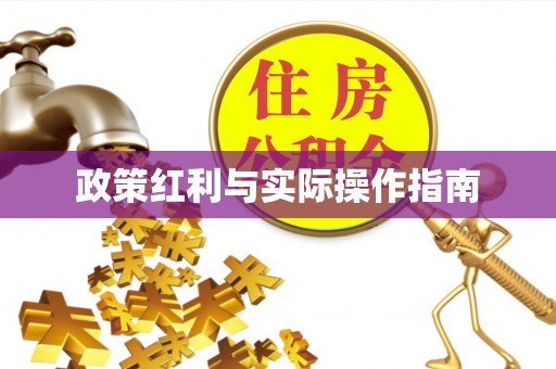 南化政策红利与实际操作指南