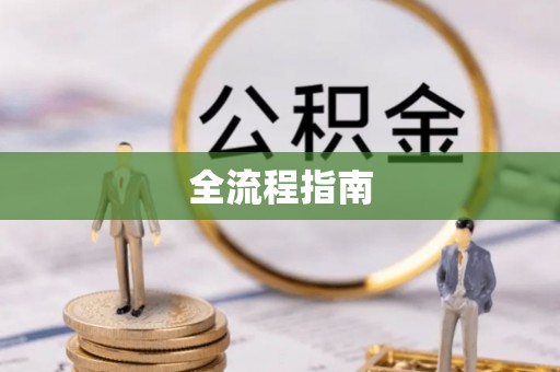 南化全流程指南