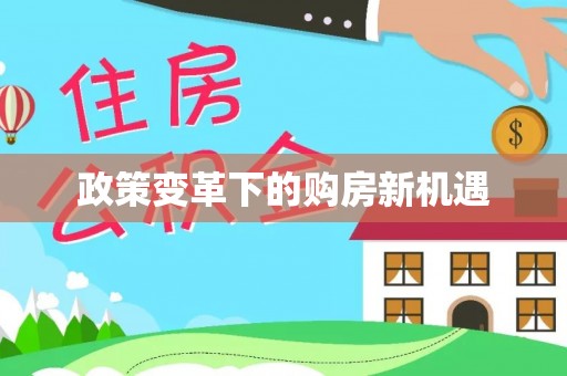南化政策变革下的购房新机遇