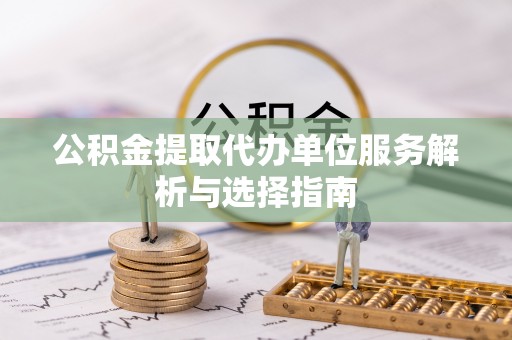 南化公积金提取代办单位服务解析与选择指南