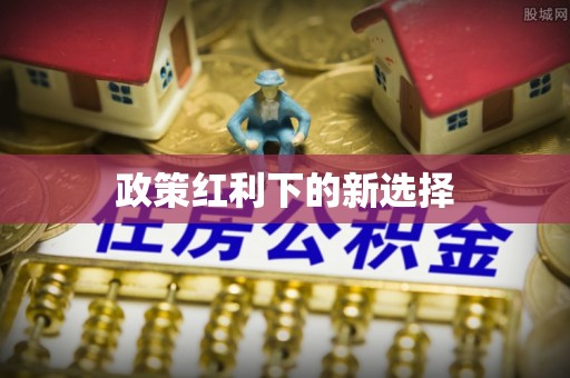 南化政策红利下的新选择