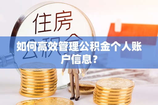 南化如何高效管理公积金个人账户信息？