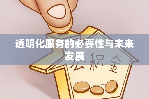 南化透明化服务的必要性与未来发展