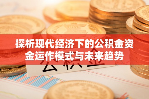 南化探析现代经济下的公积金资金运作模式与未来趋势