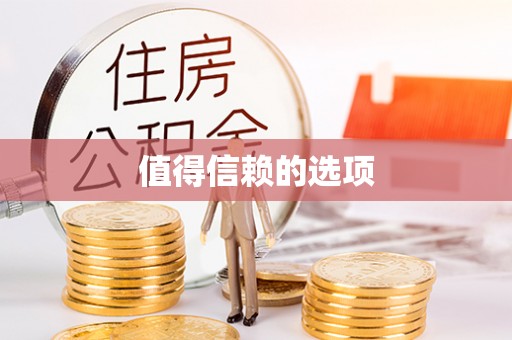 南化值得信赖的选项