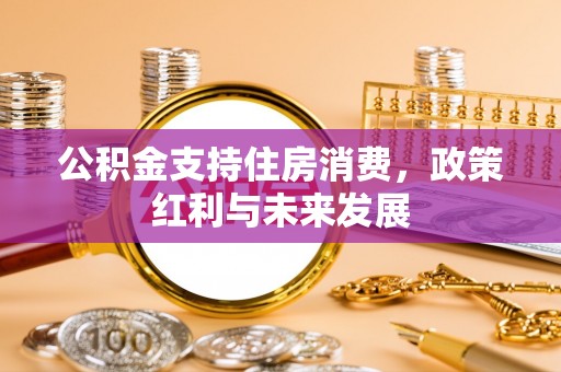 南化公积金支持住房消费，政策红利与未来发展
