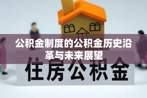 南化公积金制度的公积金历史沿革与未来展望