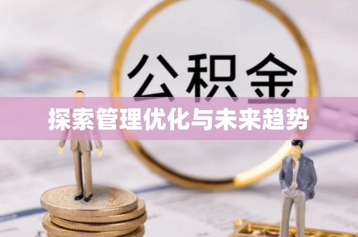 南化探索管理优化与未来趋势